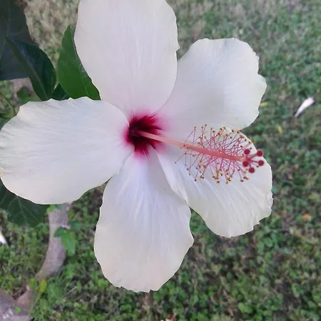 Sirman Bed & Breakfast 3*