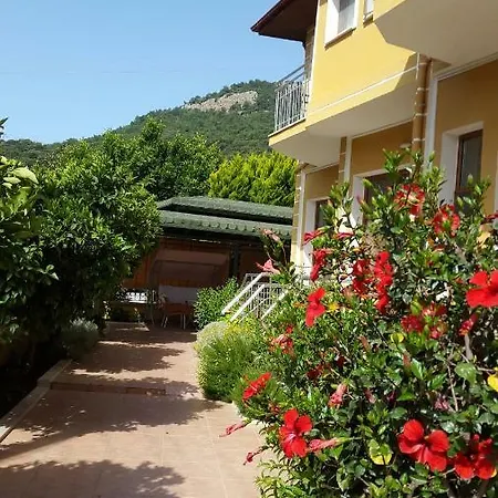 B&B Sirman *